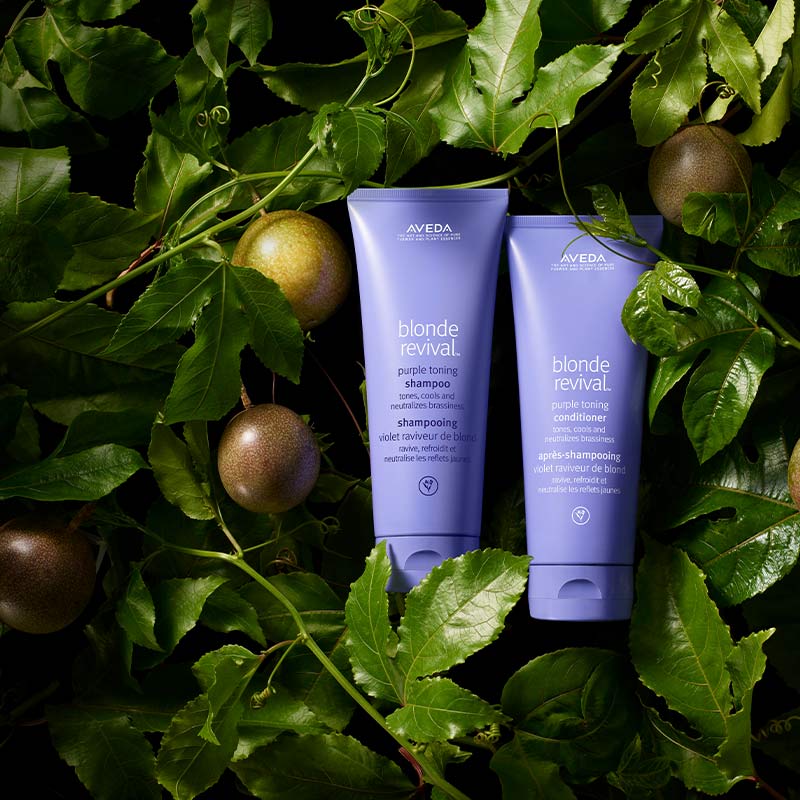 Aveda Blonde Revival Purple Toning Home and Away Bundle | blonde revivial aveda range
