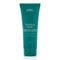 Aveda Botanical Repair Strengthening Conditioner