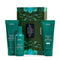 Aveda Botanical Repair Strengthening Essentials Light Gift Set Discontinued