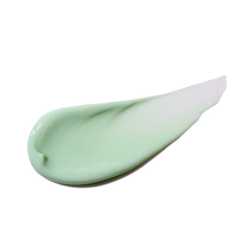 Bahama Skin Matte Day Cream | Ultimate 2-in-1 Hybrid Moisturizer | Provides Shine-Free Complexion | Infused with Bamboo Powder for Non-Greasy, Oil-Controlling Finish | Ensures Complete Hydration | Nourishing, Lightweight Formula