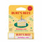 Burt's Bees Birthday Cake Lip Balm
