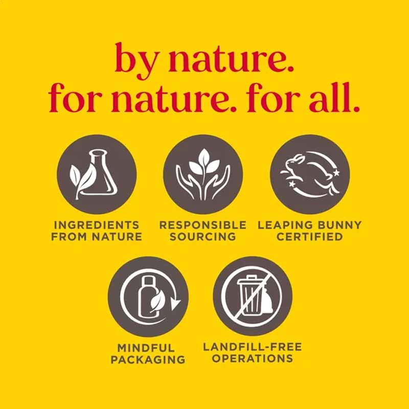 Burt's Bees Birthday Cake Lip Balm