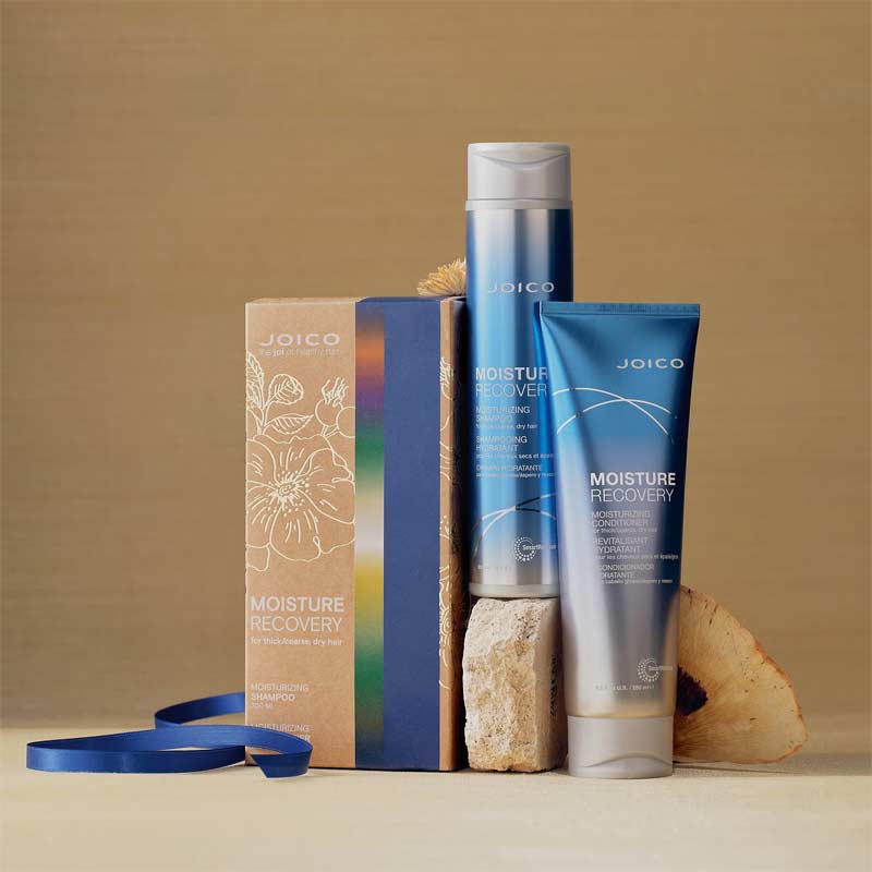 Joico Moisture Recovery Duo Gift Set
