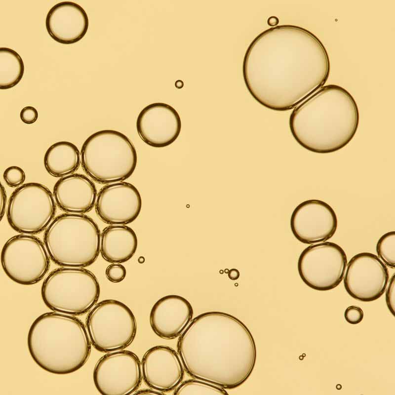 Living Proof No Frizz Vanishing Oil | feather-light | quick-sinking oil | disappears | hair | hydration | unmatched shine | humidity.