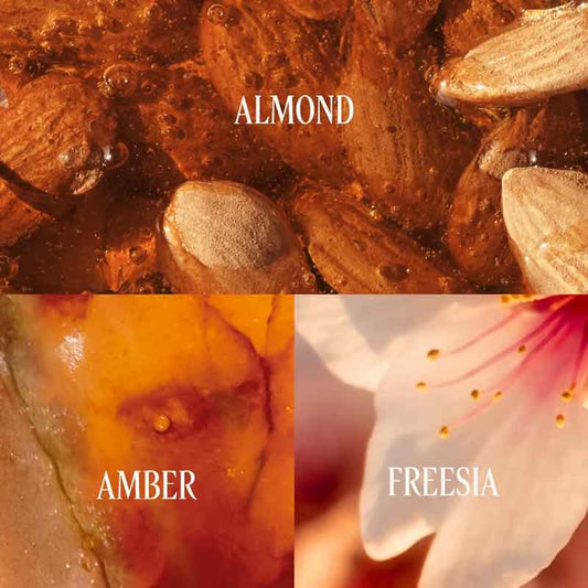 L'Occitane Almond Delightful Hair & Body Mist Key Fragrance Notes