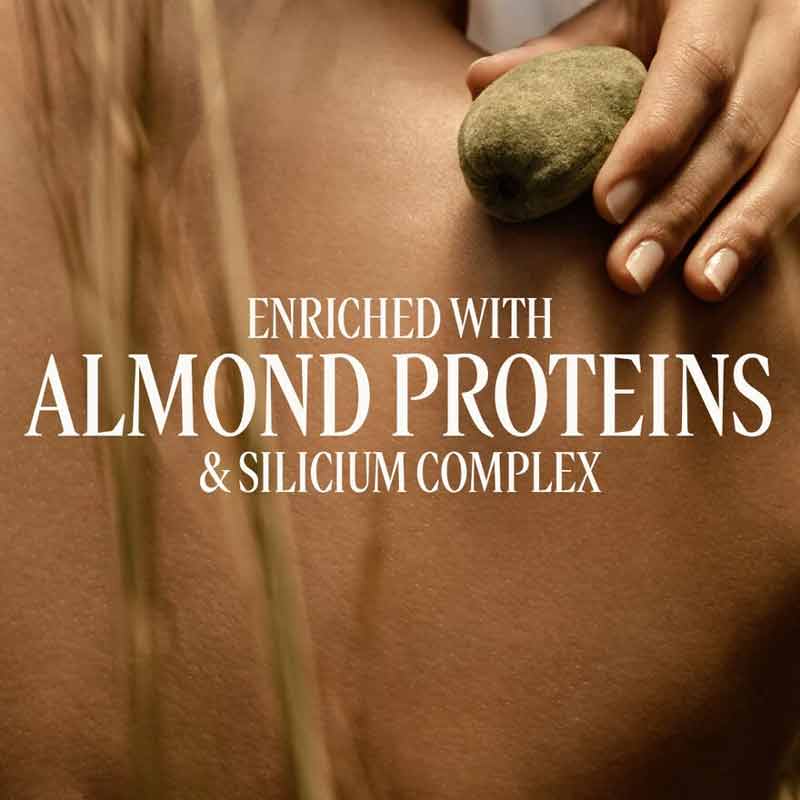 L'OCCITANE Almond Milk Veil Key Ingredients