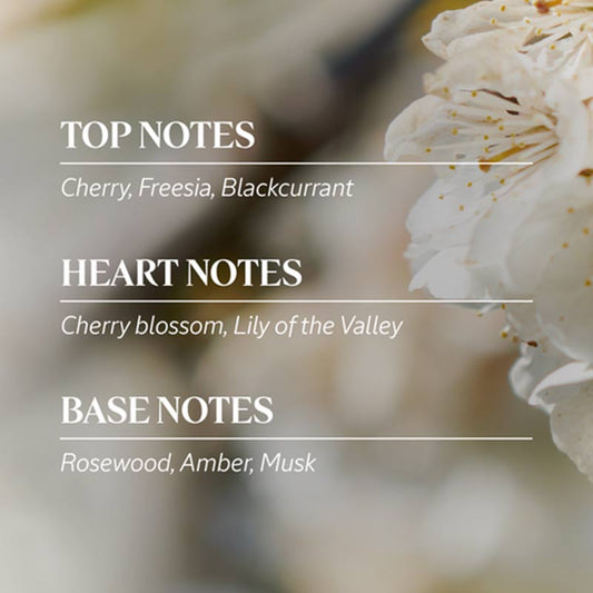 L'OCCITANE, L'OCCITANE Cherry Blossom Bath & Shower Gel, cherry bath gel, cherry shower gel