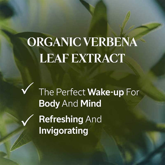 L'Occitane, L'Occitane Shea Verbena, Verbena Leaf Extract