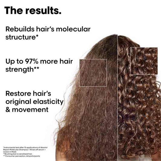 L'Oréal Professionnel Absolut Repair Molecular Mini Trio Kit Before & After