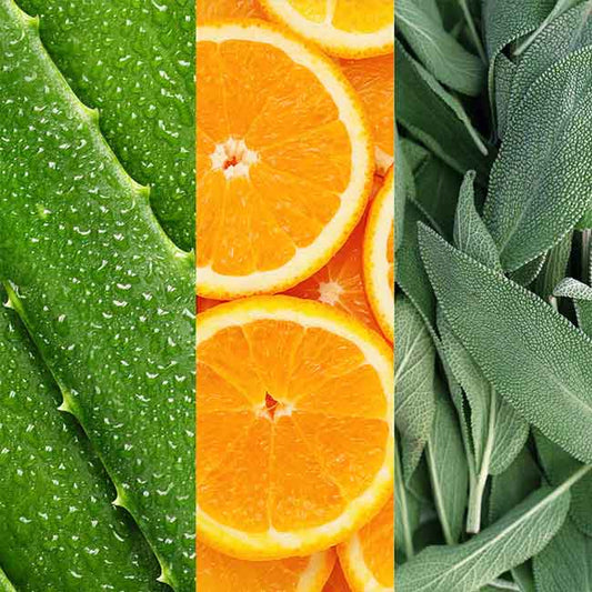 Mario Badescu, Mario Badescu Facial Spray with Aloe, Sage & Orange Blossom, refreshing facial mist, tired skin