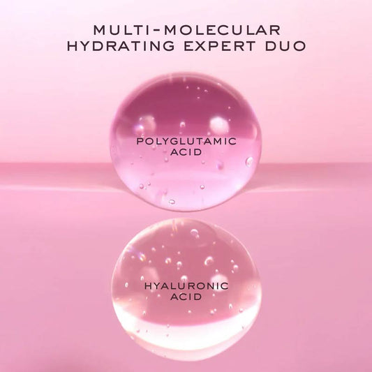 NUXE Prodigieuse Hyalu Boost Smoothing Glow Gel Cream Key Ingredients