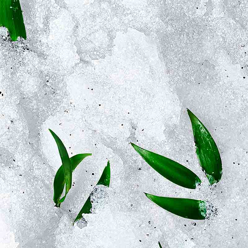 NUXE RÊVE DE THÉ Revitalising Granular Scrub