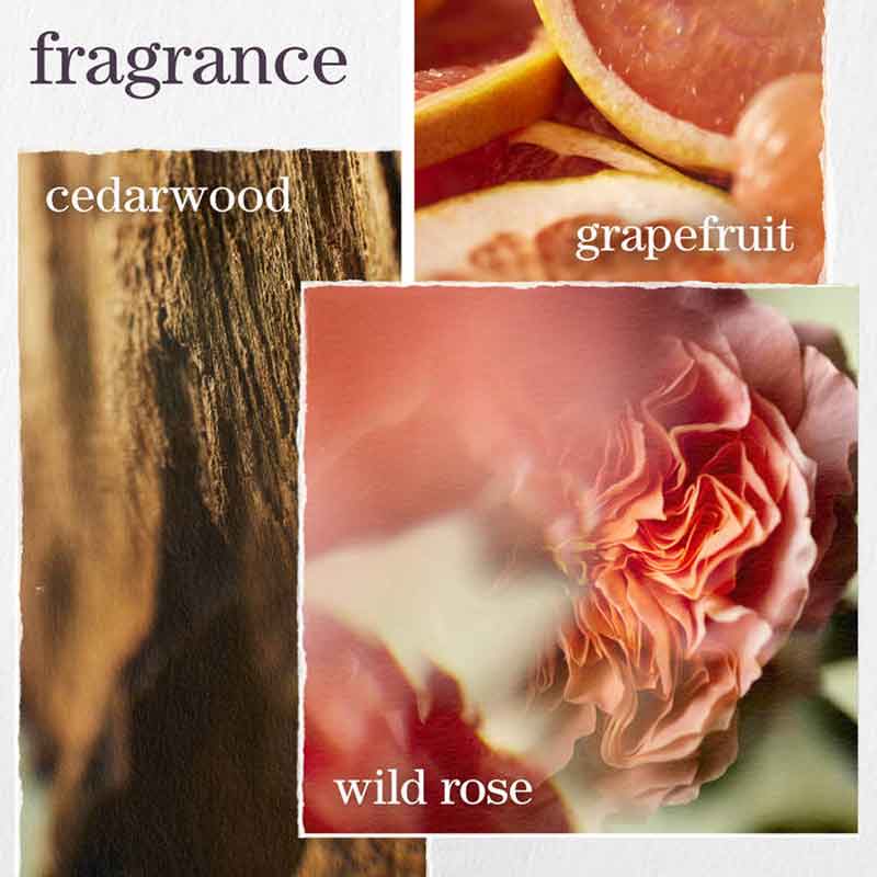 Pureology Pure Volume Shampoo Fragrance Notes