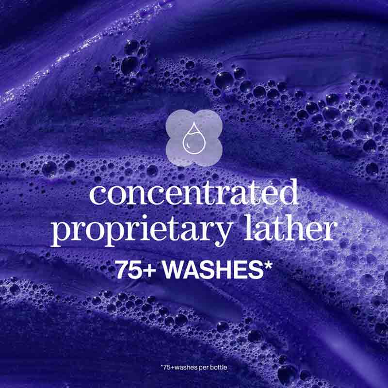 Pureology Strength Cure Blonde Purple Shampoo Lather, Pureology purple shampoo for damaged coloured hair