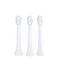Spotlight Oral Care Replacement Sonic Heads