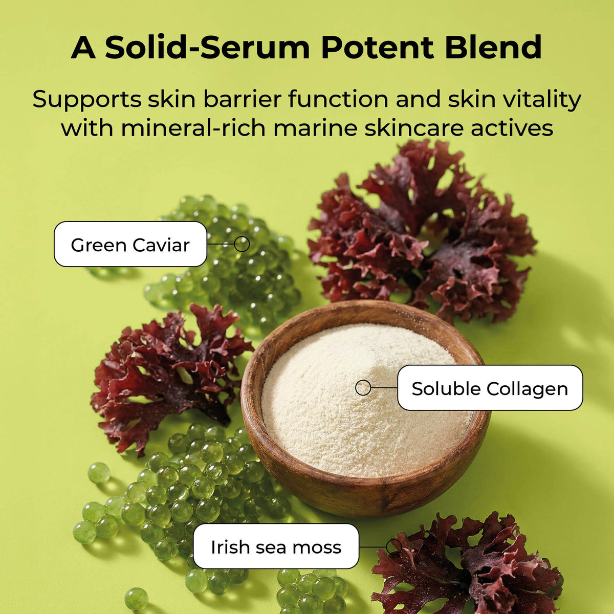 STARSKIN DeepMelt Collagen Green Caviar Hydrogel Face Mask key ingredients image of Irish sea moss, soluble collagen and green caviar