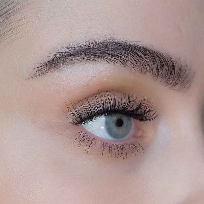 SWEED Lashes : GABBI | false lashes | faux lashes