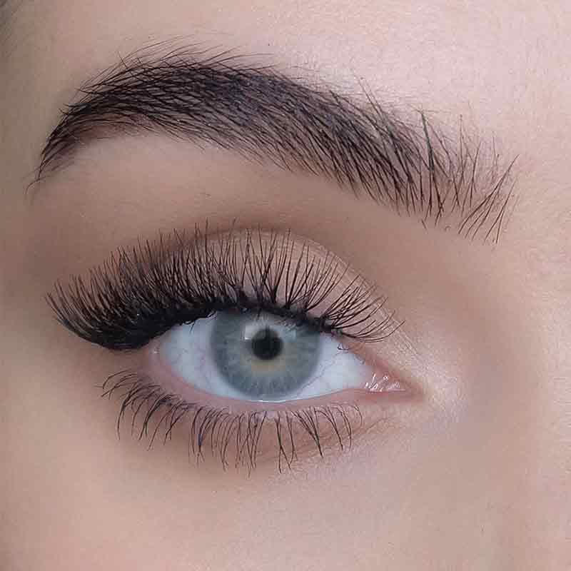 SWEED Lashes : Nikki Makeup x Sweed Nikki Cluster | false lashes | faux lashes