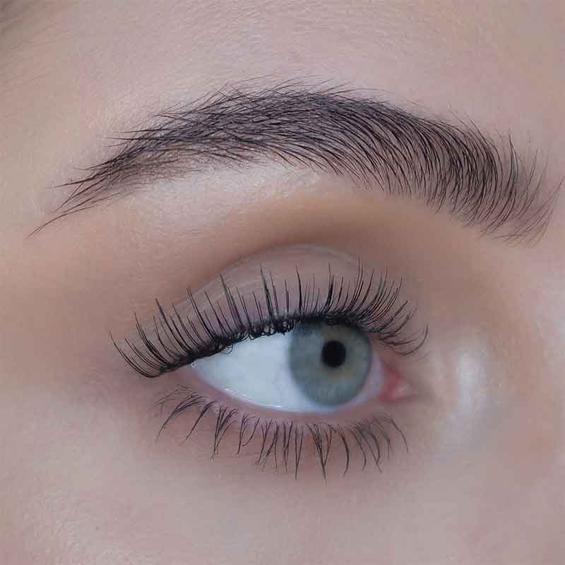 SWEED Lashes : RAMINA | false lashes | faux lashes