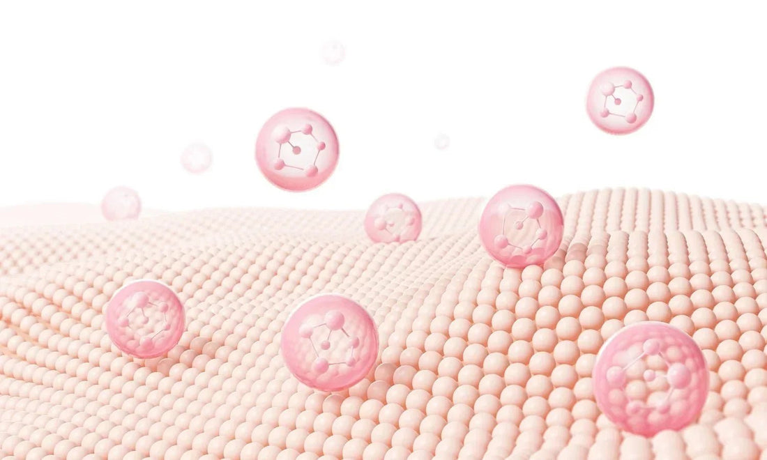 Skin Barrier