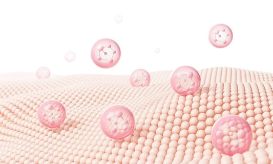 Skin Barrier