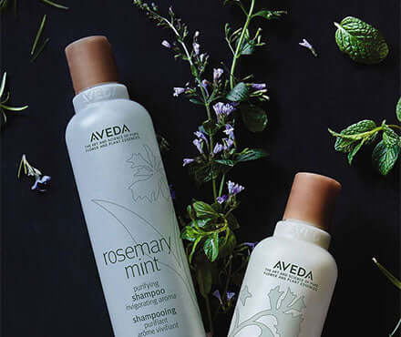 Aveda Rosemary Mint - Cloud 10 Beauty