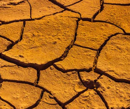 Dehydrated Skin - Cloud 10 Beauty