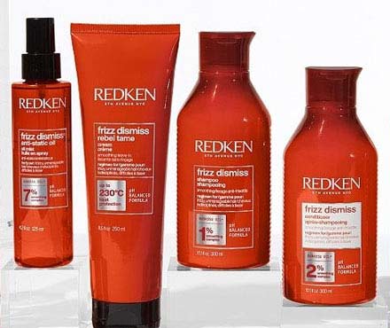 Redken Frizz Dismiss - Professional Haircare for Frizzy Hair – Cloud 10 ...