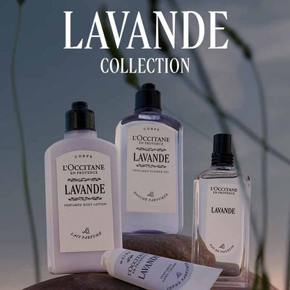 L'Occitane Lavande Lavender Hand Cream