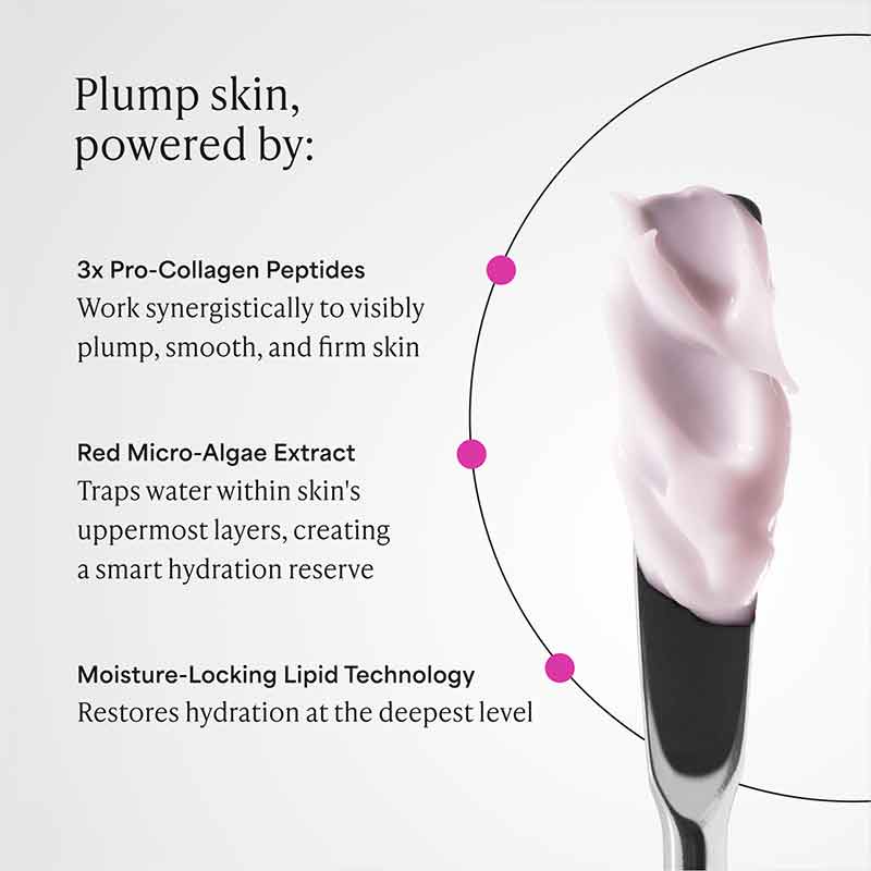 Paula's Choice Pro-Collagen Peptide Plumping Intensive Moisturiser Key Ingredients