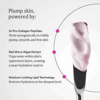 Paula's Choice Pro-Collagen Peptide Plumping Intensive Moisturiser Key Ingredients