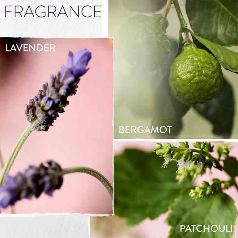 Pureology Hydrate Glow Catcher Hair Oil Fragrance