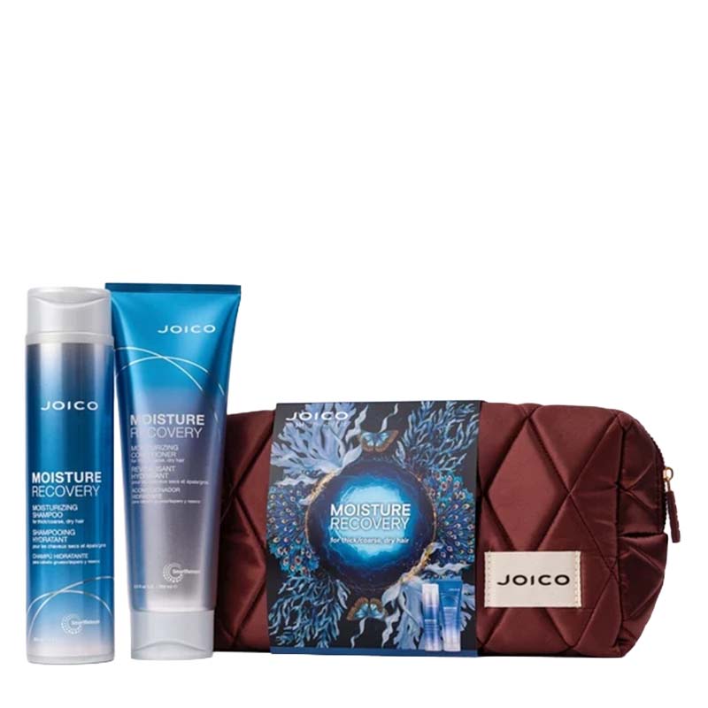 Joico Dreamscapes Moisture Recovery Gift Set