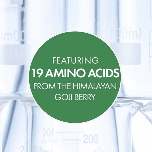 Antipodes Joyous Protein-Rich Night Replenish Serum | dry skin serum | damaged skin treatment | anti aging overnight serum