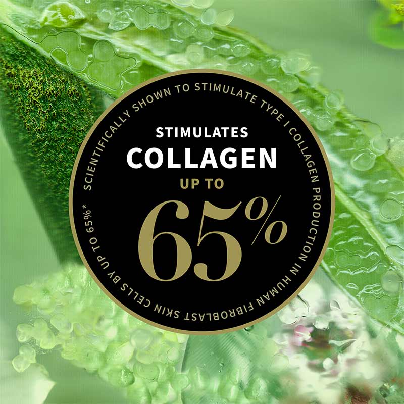 Antipodes Lime Caviar Collagen-Rich Firming Cream | skincare routine