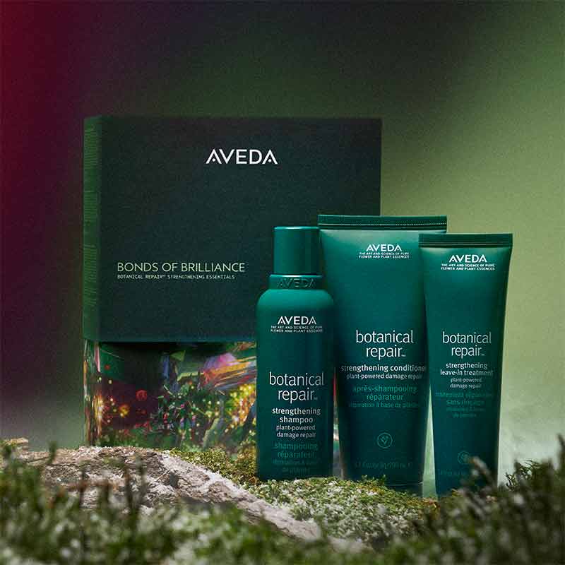Aveda Bonds of Brilliance Botanical Repair Strengthening Gift Set