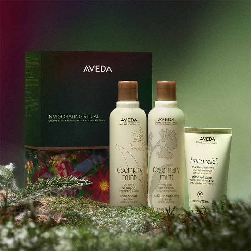 Aveda Invigorating Ritual Rosemary Mint & Hand Relief Energising Essentials Gift Set