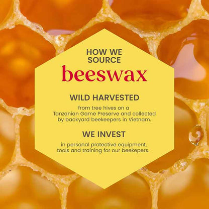 Burt's Bees Just Picked Lip Balm Gift Set Beeswax source