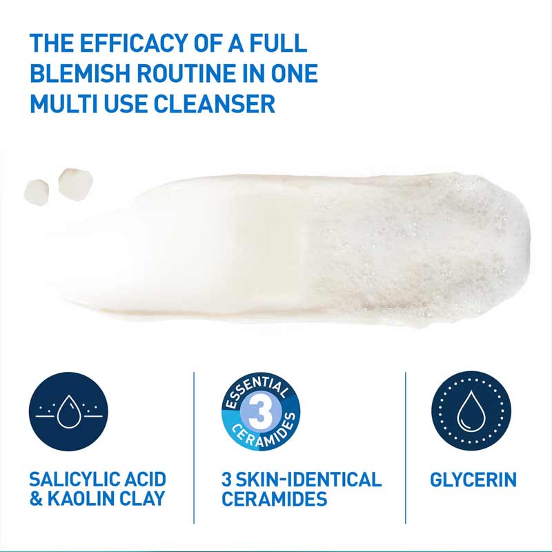 CeraVe Blemish Control Clay to Foam Cleanser Key Ingredients