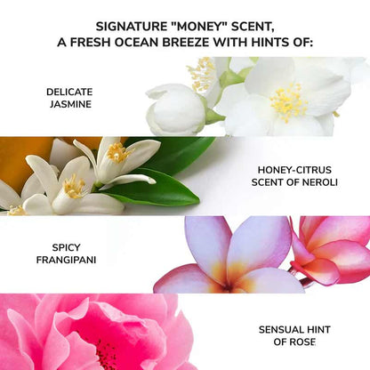 Color Wow Money Laundering Hydrating Conditioner Fragrance