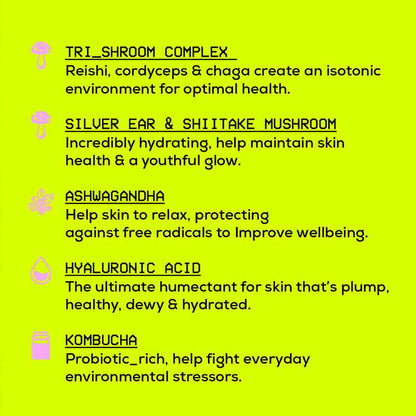 Glow Hub Skin Trip Treatment Lotion Key Ingredients