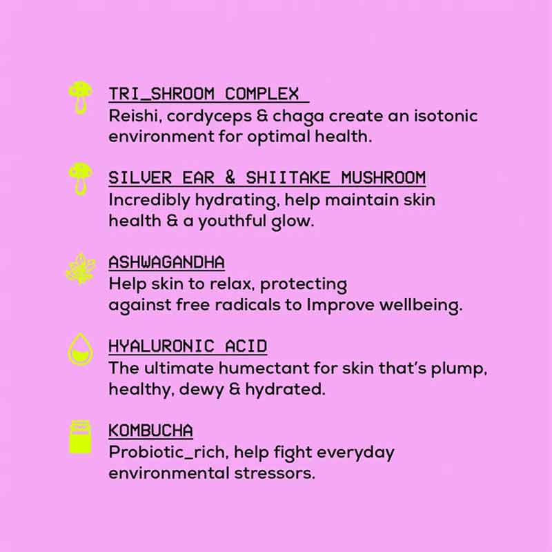 Glow Hub Super Shroom Serum Mist Key Ingredients
