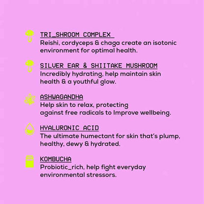 Glow Hub Super Shroom Serum Mist Key Ingredients