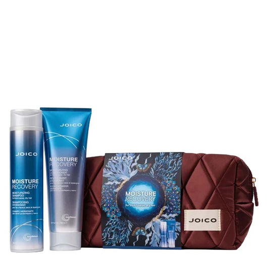Joico Dreamscapes Moisture Recovery Gift Set