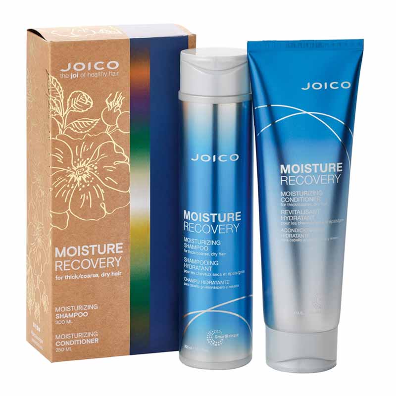 Joico Moisture Recovery Duo Gift Set