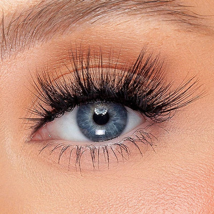 Kash Beauty Daggers Lash |  super winged-out design | captivating lift | gaze