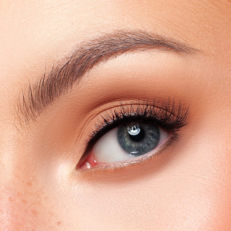 Kash Beauty Grace Natural Lash | eyes | flexible band | seamless blending | natural lashes | Keilidhmua 