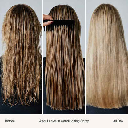 Living Proof Leave-In Conditioning Spray Before and after