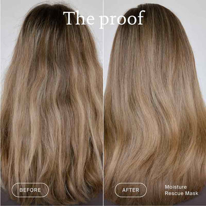 Living Proof Moisture Rescue Mask Before & After