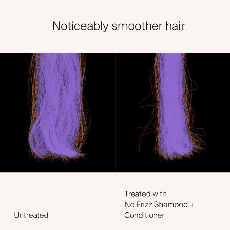 Living Proof No Frizz Conditioner | smooth | shiny | tamed tresses | combat frizz | powerful humidity shield | luminous shine | each strand